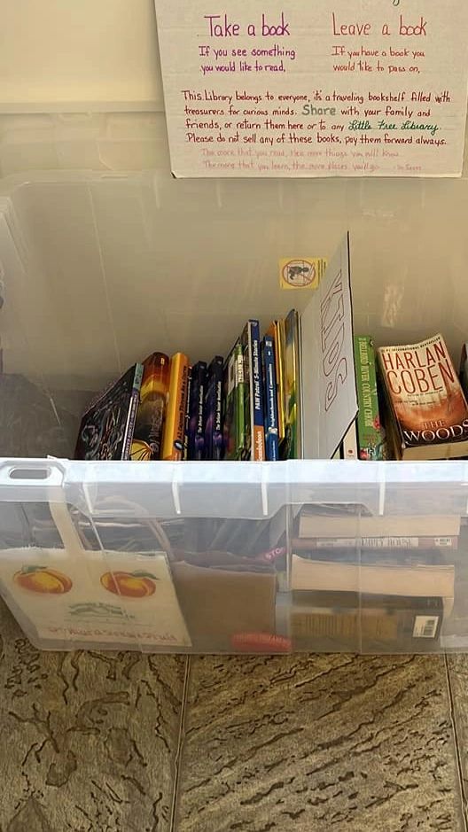 Little Free Book Library