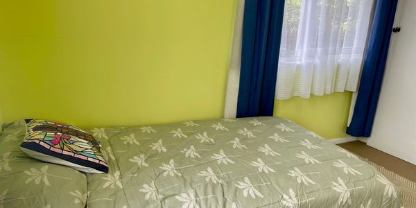 Simple bedroom with green walls and dragonfly bedding.