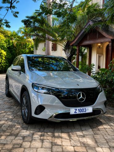 Silver Mercedes-Benz parked near a house with greenery.