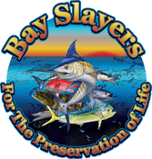 Bay Slayers Marine Consultants
