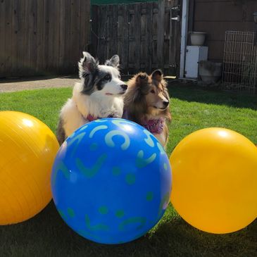 Contact, email, phone