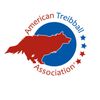 american treibball association