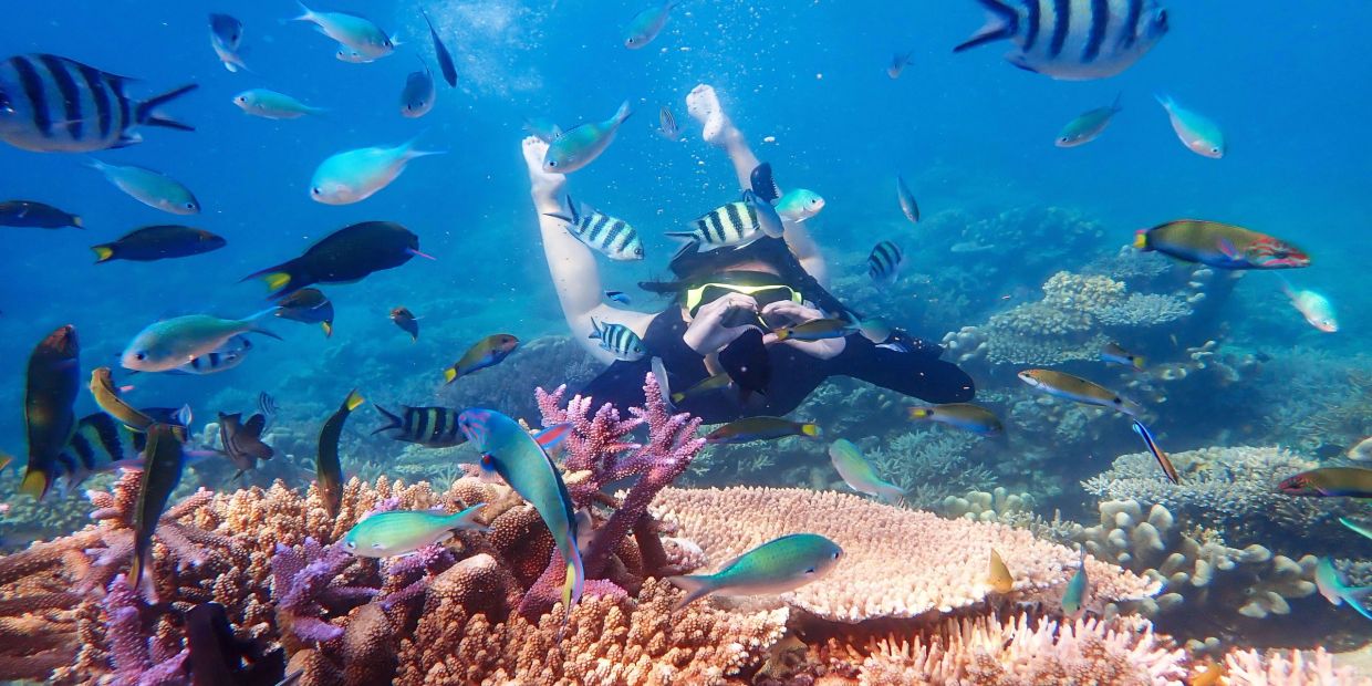 Andaman tour packages
