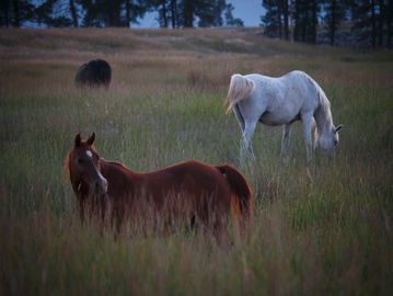 10 soaks for friends and family