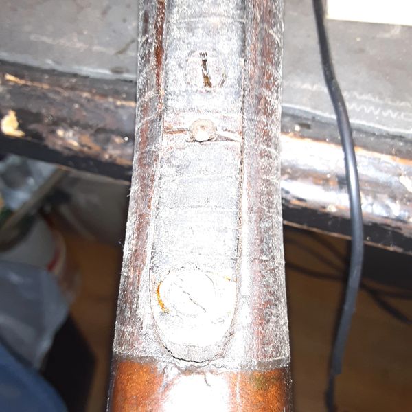 Ready to start scraping the finish off