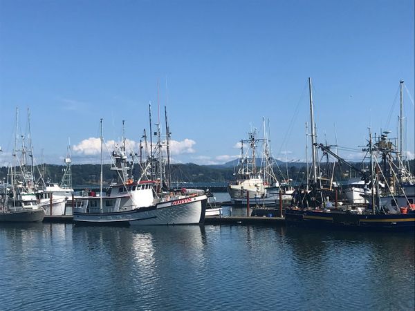 Marina in Newport, Oregon
