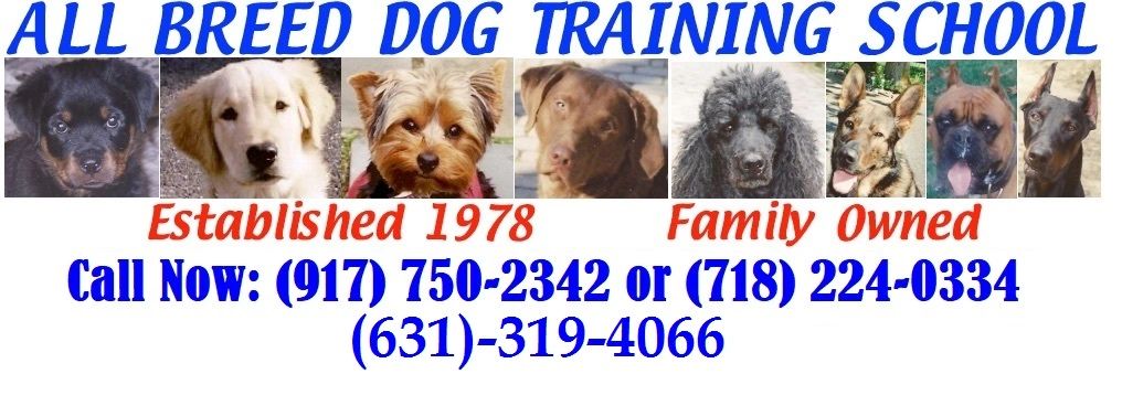 all breed dog training
