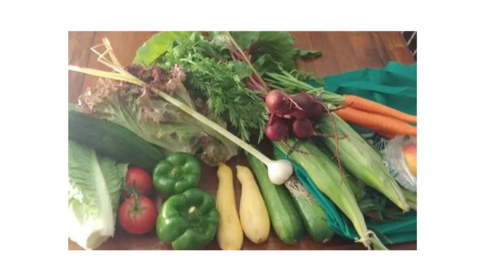 CSA Community Supported Agriculture.
Support your local farm farm fresh fruits veggies