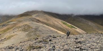 The chase of the hunt