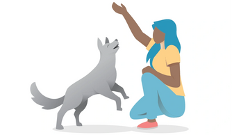 woman training a dog