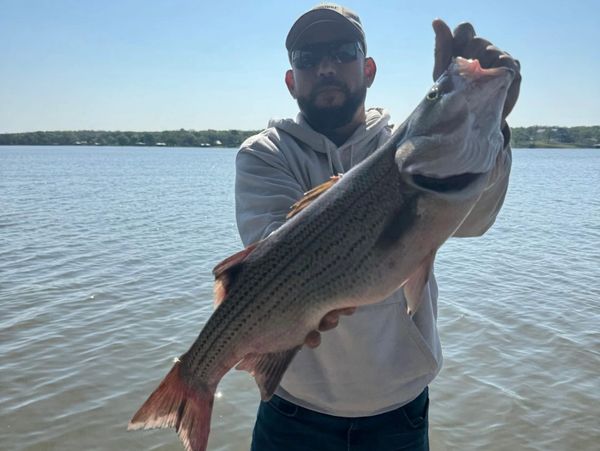 fishing guides near me. fishing charters near me. fishing guides texas. fishing guides north texas