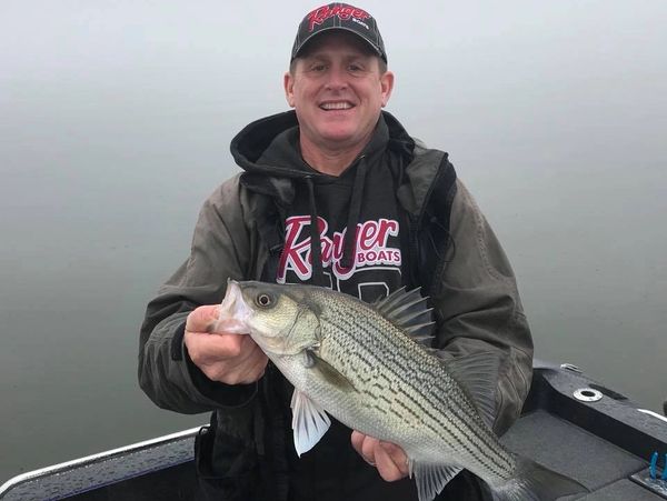 fishing guides near me. fishing charters near me. fishing guides texas. fishing guides north texas