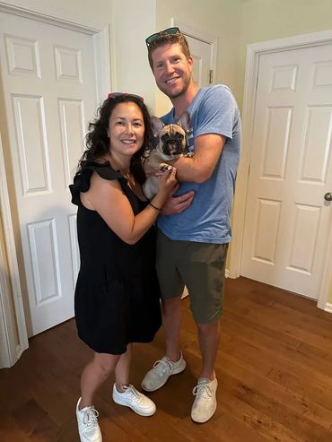 French bulldog in a new family