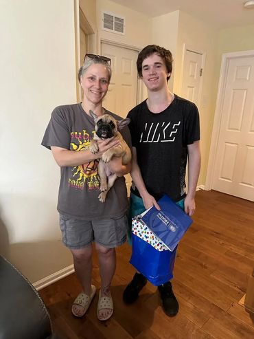 French bulldog in a new family