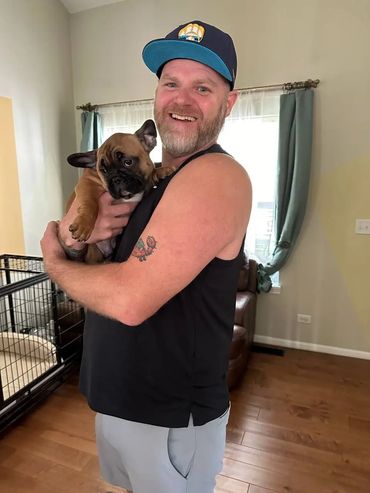 French bulldog in a new family