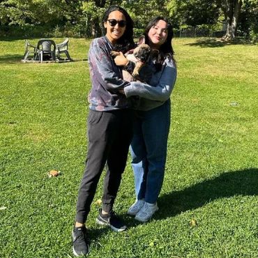 French bulldog in a new family