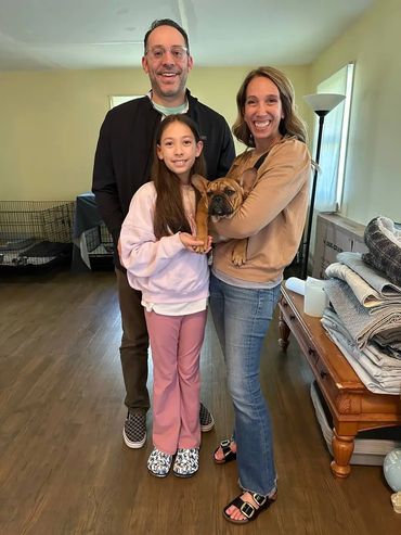 French bulldog in a new family
