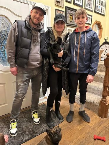 French bulldog in a new family