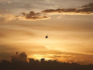 Surf Retreat, Nicaragua, Travel, Tropical, exotic,
Central America, yoga surf retreat, surf lessons