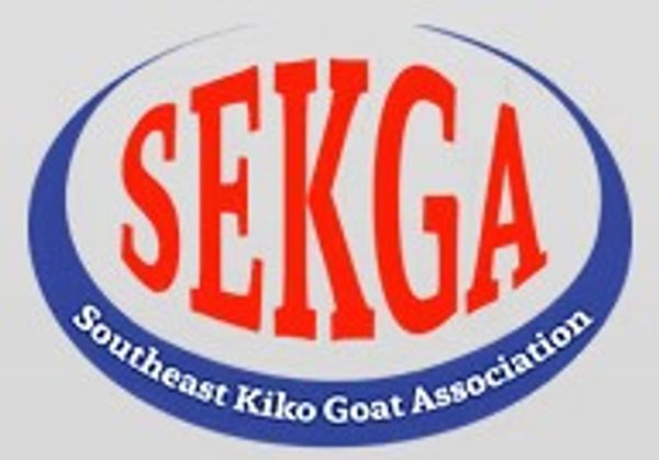 Kiko Goats for sale