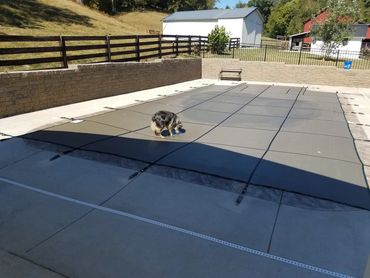 This is a Tara Safety Cover. The dog loves it.