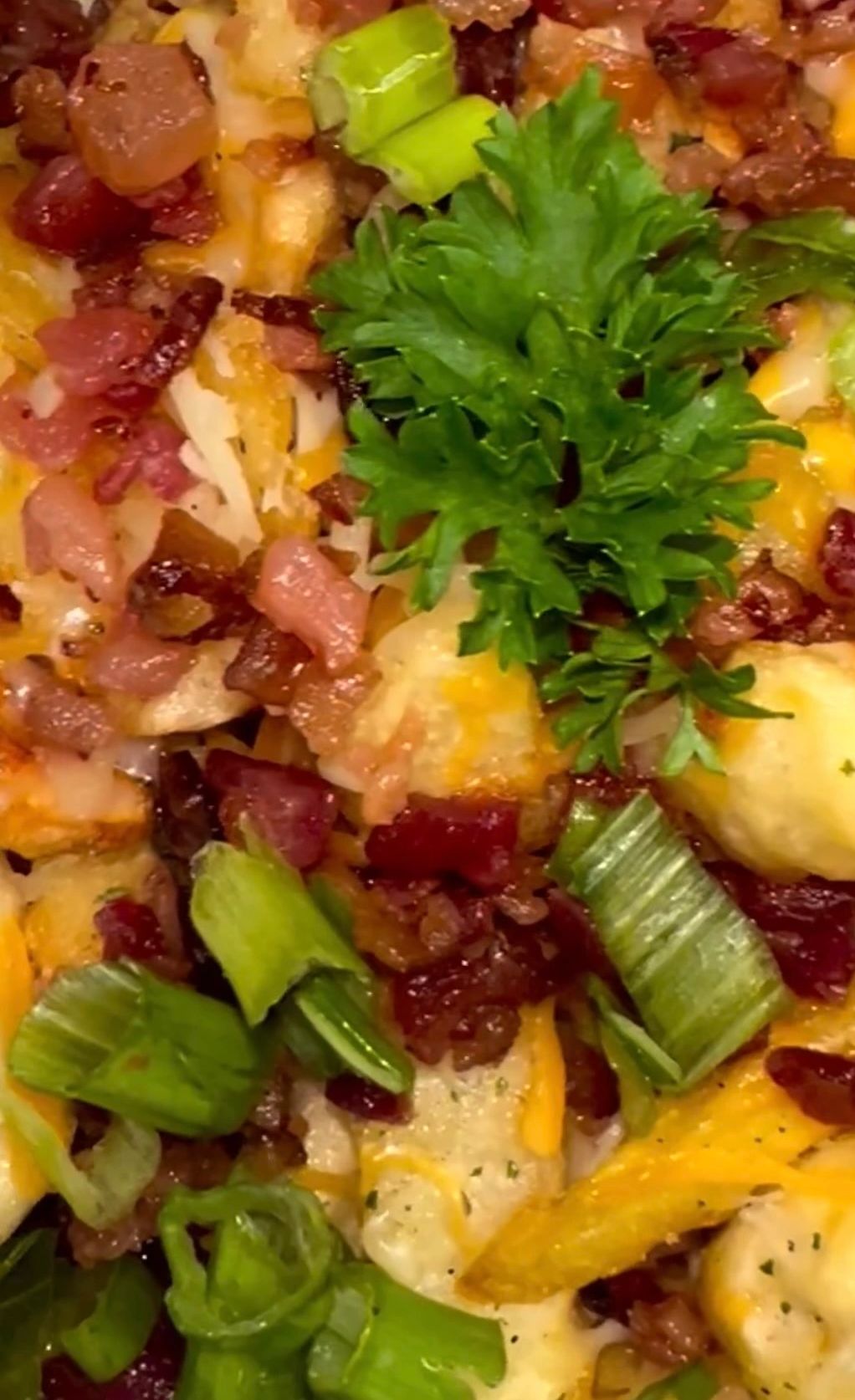 LOADED CHILI CHEESE FRIES