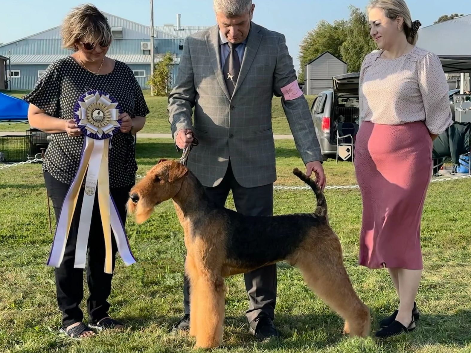 Arthur The Knight In Furry Armour Of GEM Airedales wins Best In Show at Oxford Dog Sports Dog Show