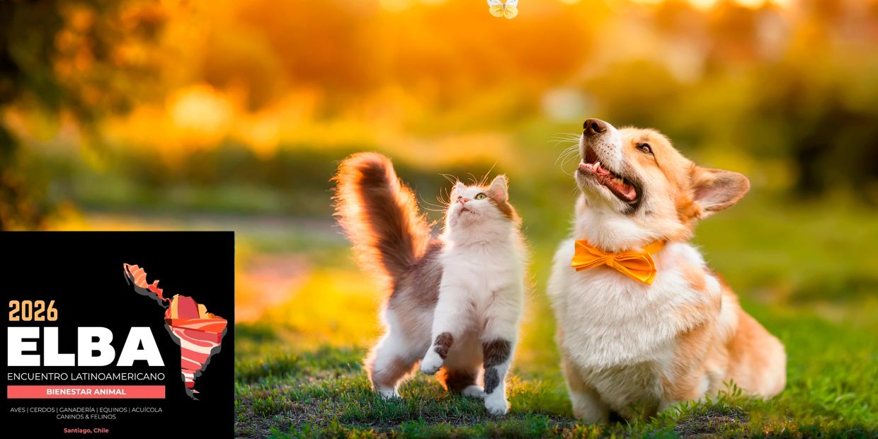 A happy dog and curious cat in a sunny garden, with a Latin American animal welfare event logo.