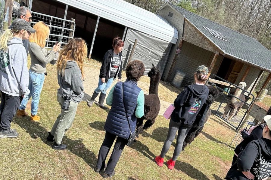 511 Farm Sanctuary visitors