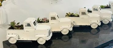 Succulent Truck $45