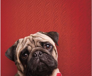 Cam Tekstili dayanım demektir.