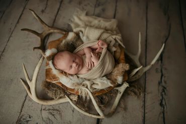 newborn photo in bowl in studio in tuscaloosa alabama. Posed newborn photography. 