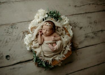 posed newborn photography in the studio in tuscaloosa alabama