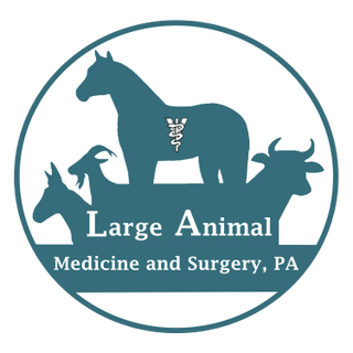 Large Animal Medicine and Surgery, PA