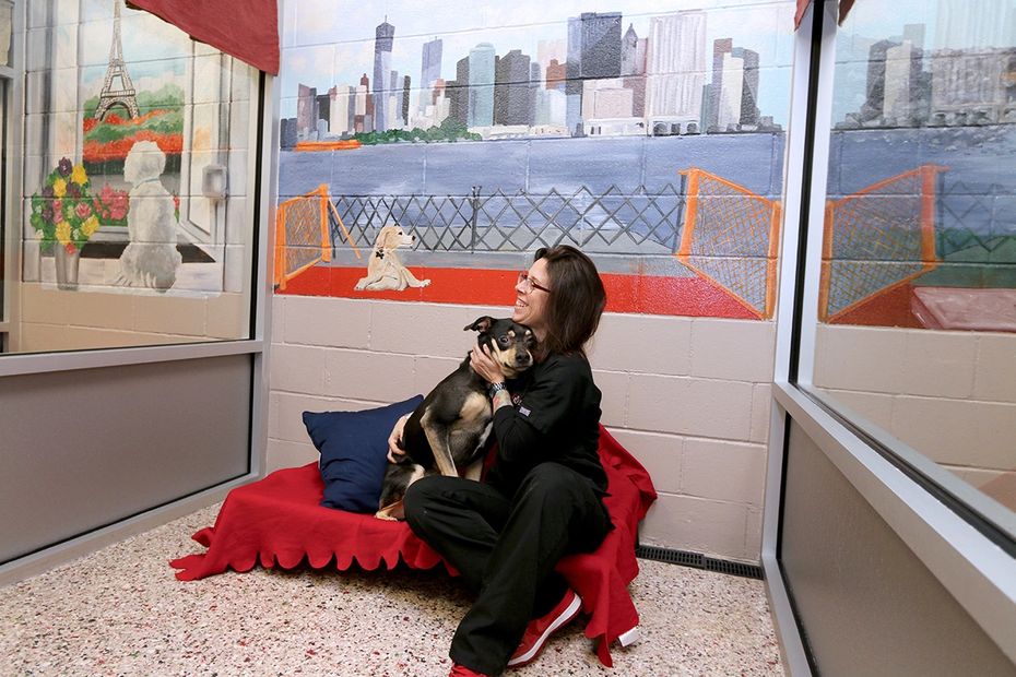 Pet Hotel & Grooming Bay Street Animal Hospital