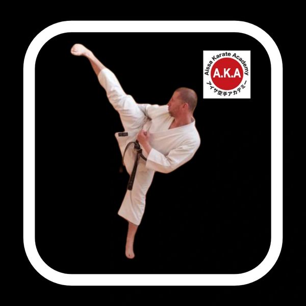 sidekck by nthe chief instructor