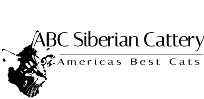 ABC Siberian Cattery