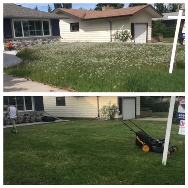 Lawn care, landscaping, lawn maintenance