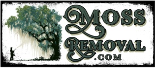 Moss Removal