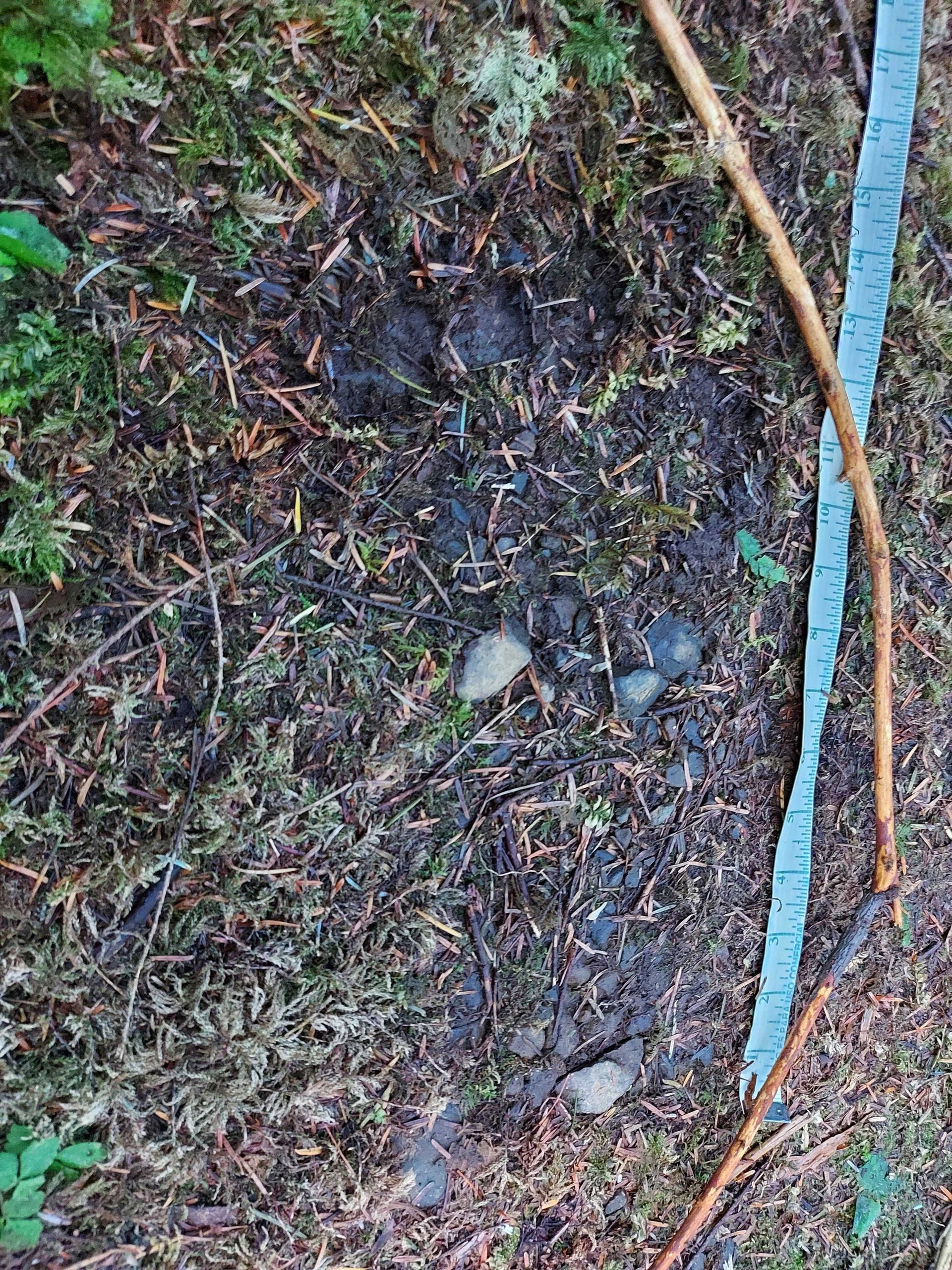 Stack of books next to pencils in a holder and a camera.