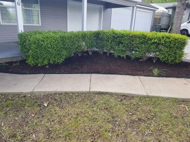 Elkins arkansas mowing