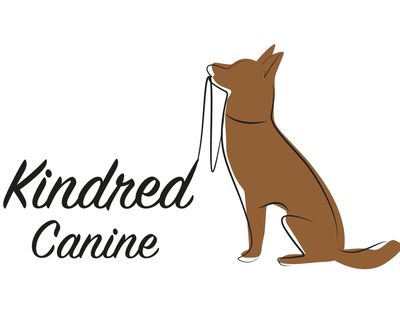 Kindred Canine Dog Walkers Andover