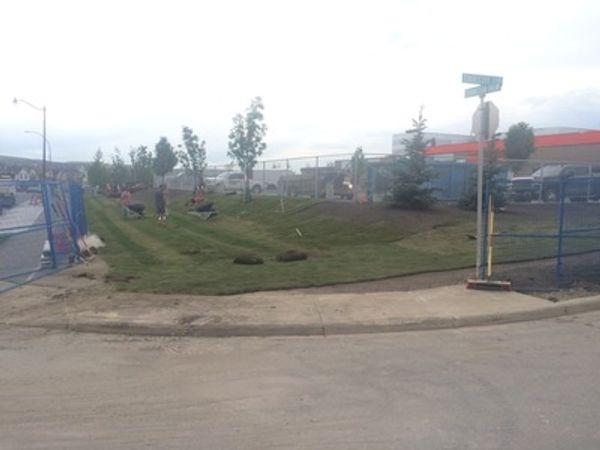 Sod Install @ Evanston K-4