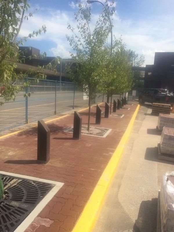 Paver and Tree Install @ SAIT