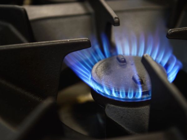 Close-up of blue gas flame on a stove burner.