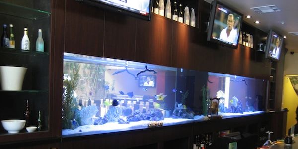 Large aquarium in restaurant