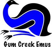 Gum Creek Emus