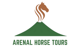 Horseback Riding Experiences