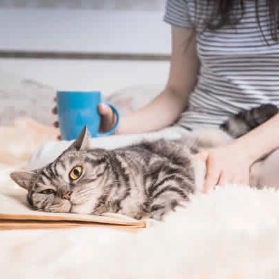 Donate to help WE R Furr in White Earth, MN build an animal shelter and offer animal adoption.