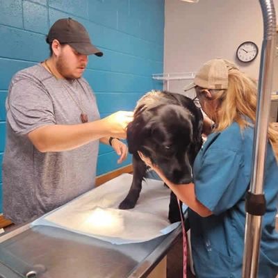 WE R Furr provides feline and canine vaccinations and microchipping in Callaway, MN and Moorhead, MN